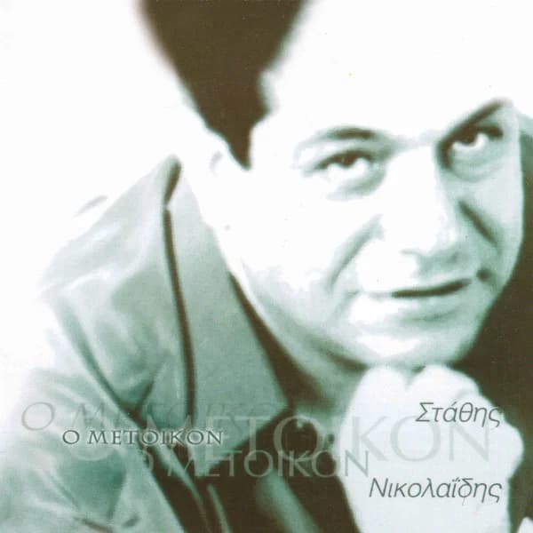 Εξώφυλλο: Ο μέτοικον - Στάθης Νικολαΐδης